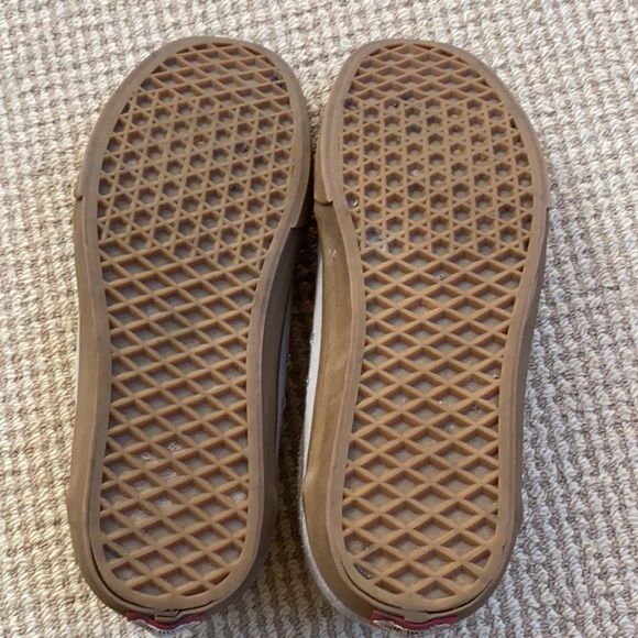 Van Pros - Picture 4 of 4